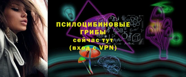 марки nbome Белокуриха