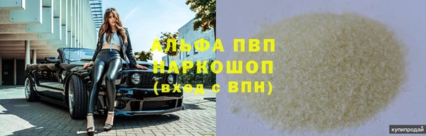 МДПВ Бородино