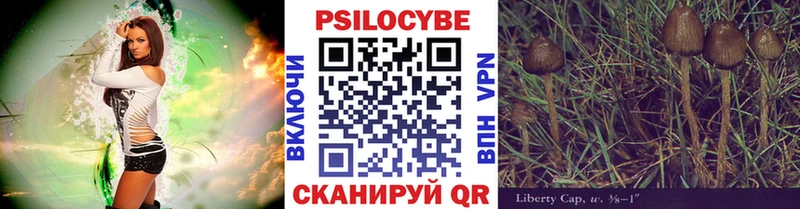 Галлюциногенные грибы мухоморы  как найти закладки  Барабинск 